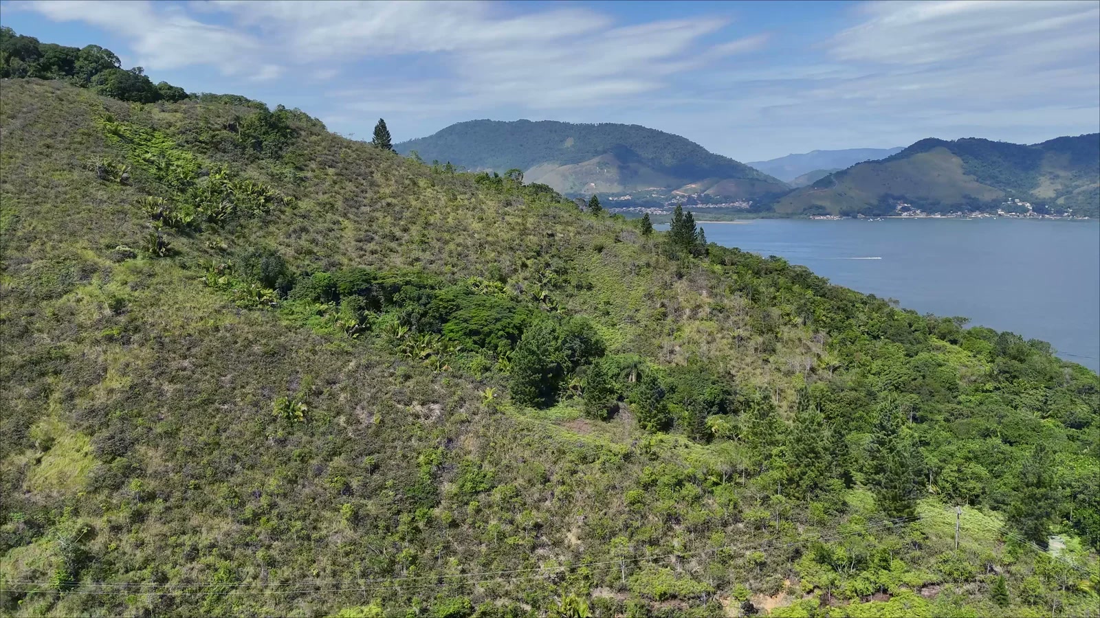 Cota aberta de Ponta da Cruz com a Baía da Ribeira no horizonte